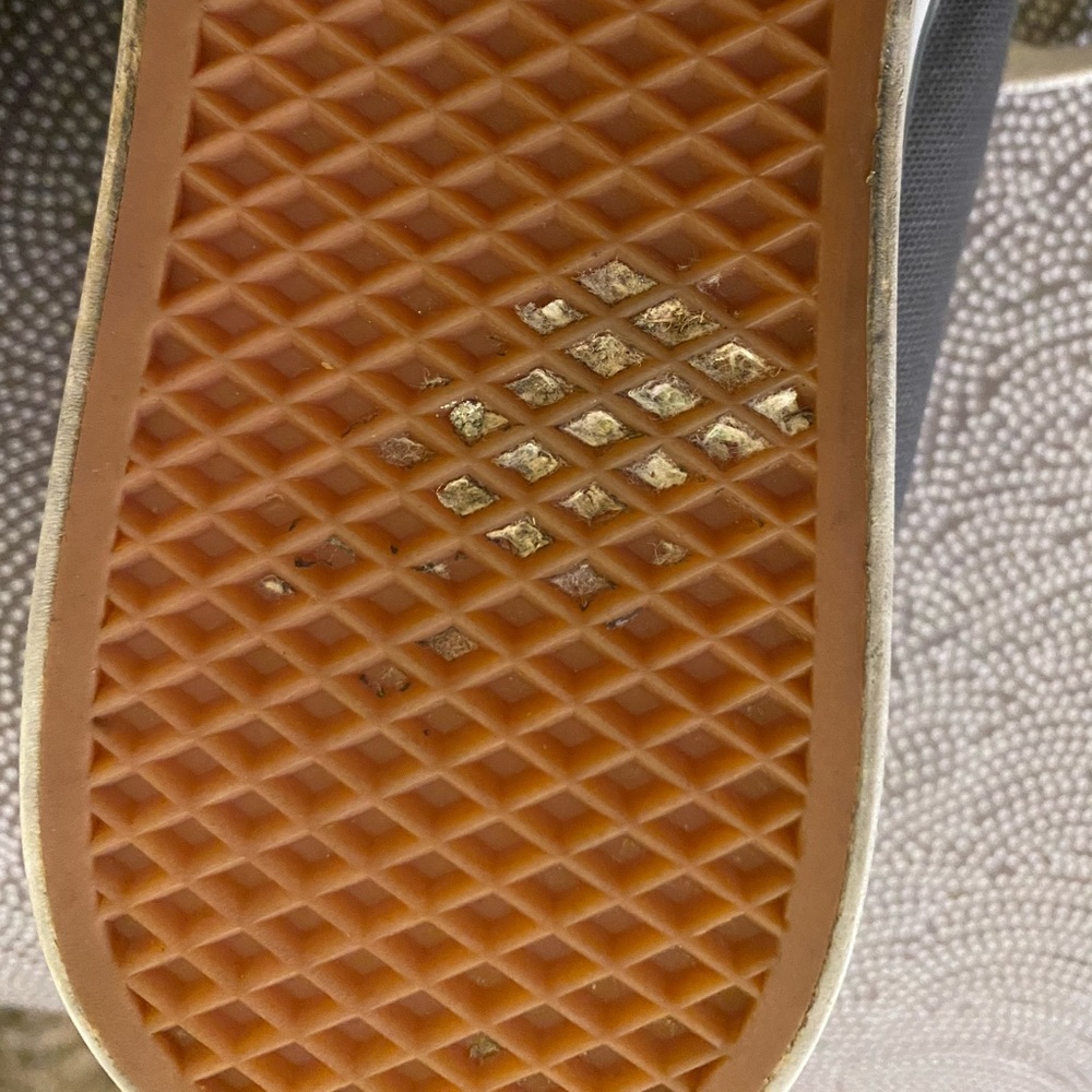Vans - Picture 6 of 7